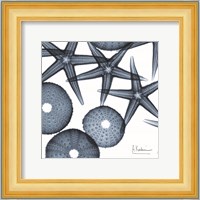 Starfish Trip 3 Fine Art Print