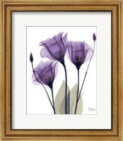 Gentian Hope Fine Art Print