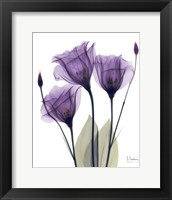 Gentian Hope Fine Art Print