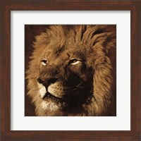 Lion 2 Fine Art Print