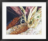 Indian Corn Fine Art Print