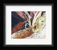 Indian Corn Fine Art Print