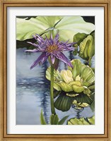 Lily Fine Art Print