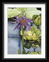 Lily Fine Art Print