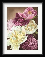 Peony Passion Fine Art Print