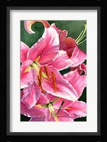 Stargaze Fine Art Print