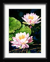 Waterlily Reflections Fine Art Print