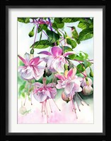 Window on the World Fine Art Print