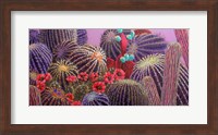 Barrel Cactus 1 Fine Art Print