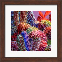 Barrel Cactus 4 Fine Art Print
