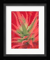 Red Agave Fine Art Print