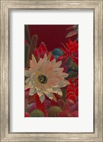 Stella's Garden Fine Art Print