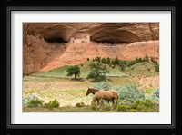 Canyon De Chelly Fine Art Print