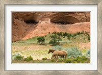 Canyon De Chelly Fine Art Print