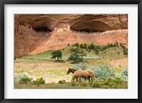 Canyon De Chelly Fine Art Print