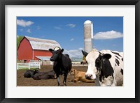 Cows, red barn, silo, farm, Wisconsin Fine Art Print
