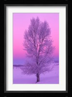 Landscape, Yellowstone National Park, Wyoming Fine Art Print