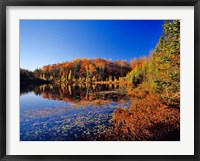 Pond in the Chaquamegon National Forest, Cable, Wisconsin Fine Art Print