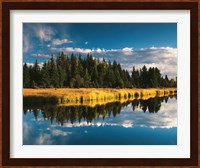 Trees reflecting in Snake River, Grand Teton National Park, Wyoming Fine Art Print