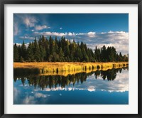 Trees reflecting in Snake River, Grand Teton National Park, Wyoming Fine Art Print