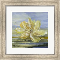 Water Lillies 1 Fine Art Print