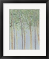 Hazy Woodlands I Framed Print