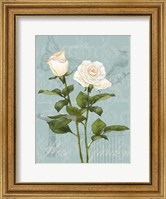 Cream Rose II Fine Art Print