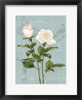 Cream Rose II Fine Art Print