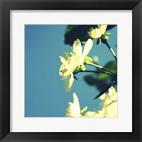 Summer Blossom I Fine Art Print