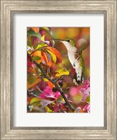 The Flower Dance XVII Fine Art Print