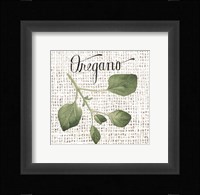 Burlap Herbs II Fine Art Print