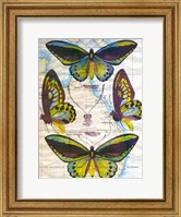 Butterfly Map III Fine Art Print