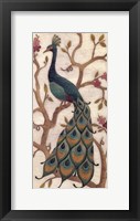 Peacock Fresco II Framed Print