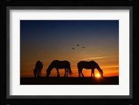 Fly Over Framed Print