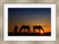 Fly Over Fine Art Print