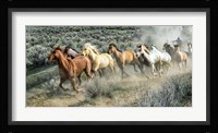 Stampede I Framed Print