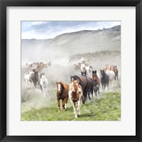 Stampede II Fine Art Print