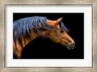 Wind Swept Fine Art Print