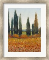 Cypress Trees I Fine Art Print