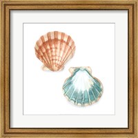 Watercolor Shells I Fine Art Print