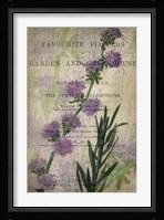 Favorite Flowers I Framed Print