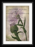 Favorite Flowers II Framed Print