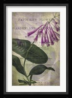 Favorite Flowers III Framed Print