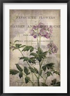 Favorite Flowers IV Fine Art Print