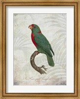 Parrot Jungle VI Fine Art Print