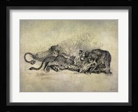 Big Cats I Framed Print