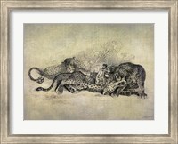 Big Cats I Fine Art Print