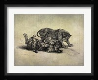 Big Cats II Framed Print