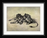 Big Cats III Framed Print