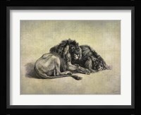 Big Cats IV Framed Print
